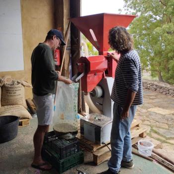 Preview: LA CALIMA - Espresso - Stückgut Edition Preview: Trilladora im Einsatz