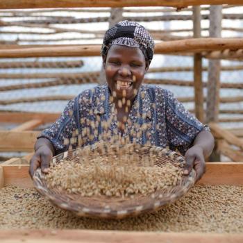 Preview: UGANDA - MOUNT ELGON - Filter - Stückgut Edition Preview: Farmerin verarbeitet Rohkaffee